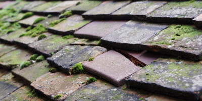 Upwood roof repair costs